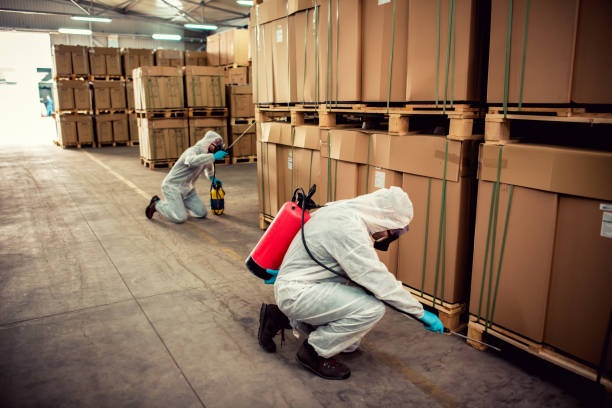 Best Best Pest Control Companies  in Pike Creek Valley, DE