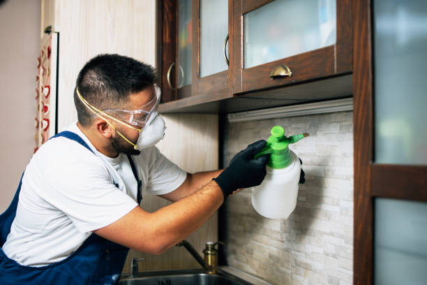 Best Flea Control Services  in Pike Creek Valley, DE