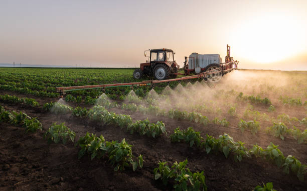 Best Pest Removal Services  in Pike Creek Valley, DE