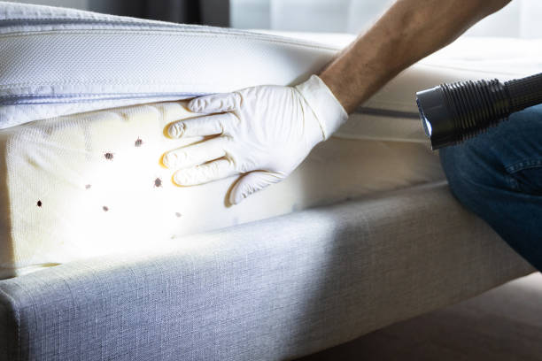 Best Commercial Pest Control Services  in Pike Creek Valley, DE