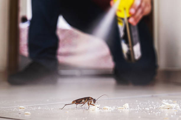 Best Emergency Pest Control  in Pike Creek Valley, DE