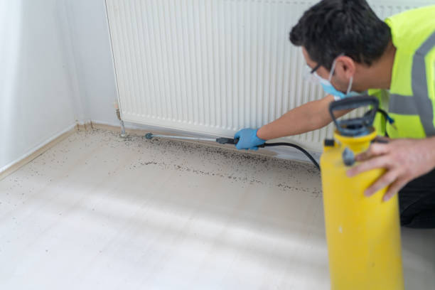 Best Local Pest Control Services  in Pike Creek Valley, DE