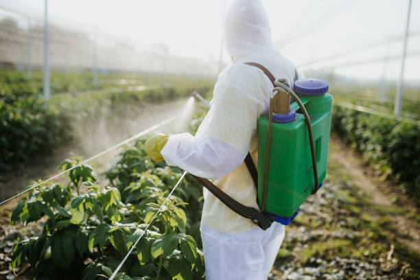 Trusted Pike Creek Valley, DE Pest Control Experts